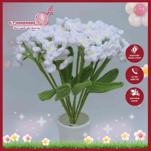 hoa-luu-ly-ily-handmade