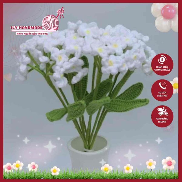 hoa-luu-ly-ily-handmade